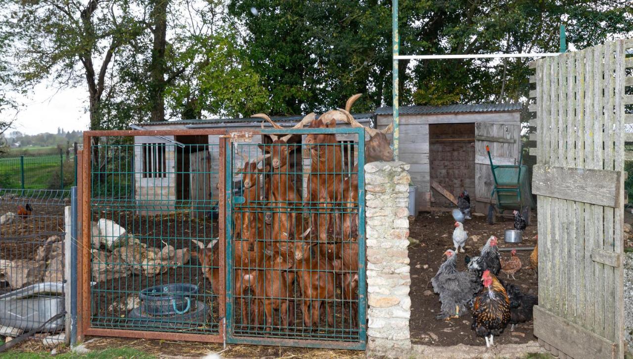 MontjavoultLa Ferme Des Nonains公寓 外观 照片
